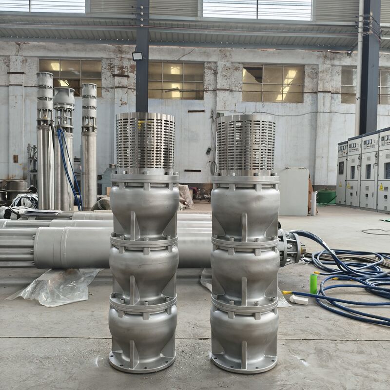 6 Inch Duplex Stainless Steel 2205 Deep Well Submersible Pump dengan 15 m3/h Aliran dan 180m Kepala
