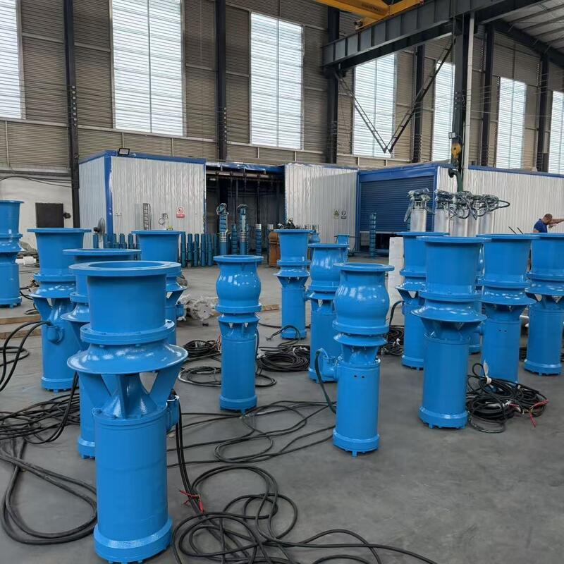 Pompa Aliran Aksial Renang 45kW dengan Aliran 1300 m3/h dan Kepala 8m untuk Drainase Aliran Tinggi