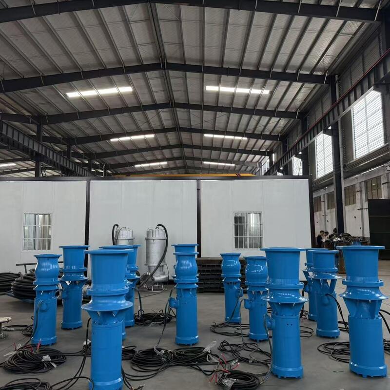 Pompa Aliran Aksial Renang 45kW dengan Aliran 1300 m3/h dan Kepala 8m untuk Drainase Aliran Tinggi