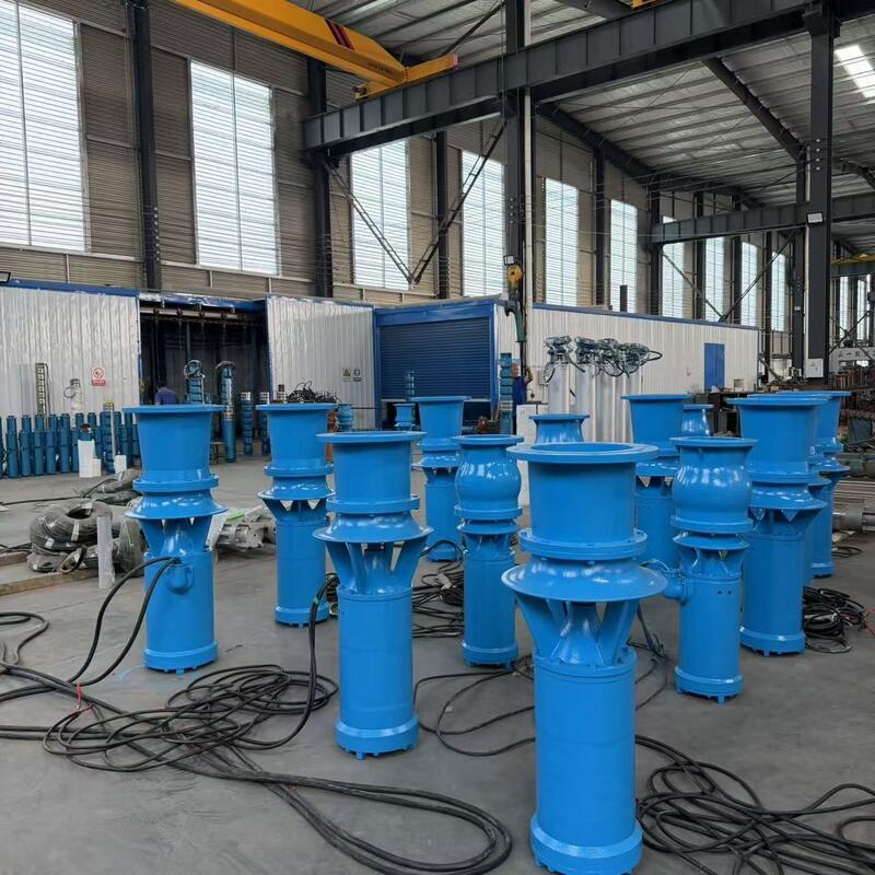 Pompa Aliran Aksial Renang 45kW dengan Aliran 1300 m3/h dan Kepala 8m untuk Drainase Aliran Tinggi