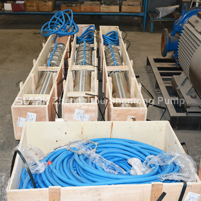 Pompa Celup Sumur Dalam Aliran Tinggi 300 m³/jam Head 100 m Motor 140 kW untuk Aplikasi Air Laut