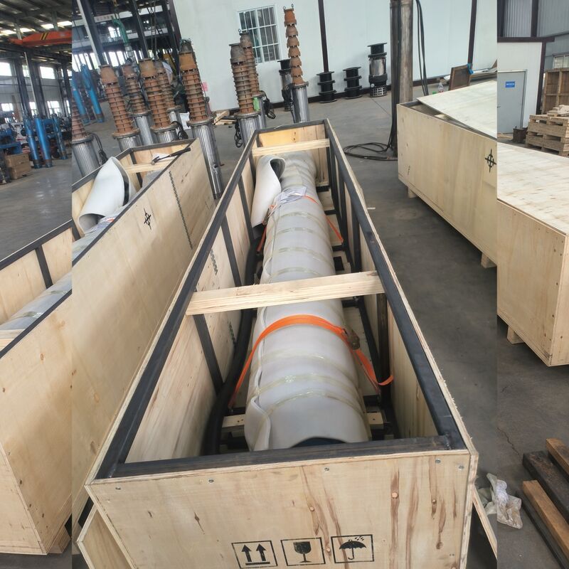 Pompa Air Bawah Air Tegangan Tinggi 300KW untuk Pengeringan Tambang Bauksit dengan Impeler Baja Tahan Karat